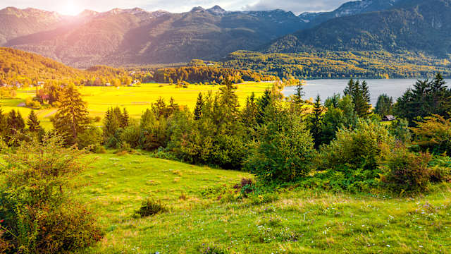 Ein See umgeben von bewaldeter Landschaft