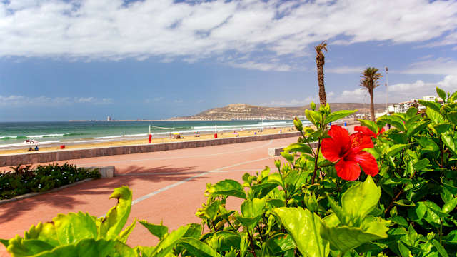 Eine Strandpromenade mit Blumen