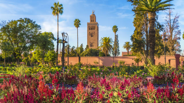 Koutoubia Moschee und Garten in Marrakesch, Marokko