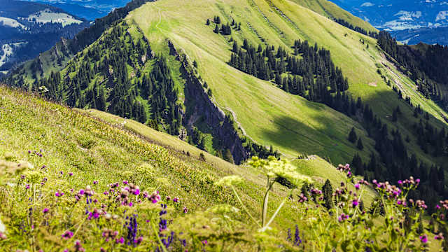 Nagelfluhkette, Oberstaufen, Bayern