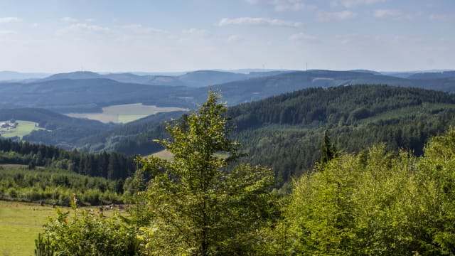 Naturpark Sauerland-Rothaargebirge, Schmallenberg, Nordrhein-Westfalen
