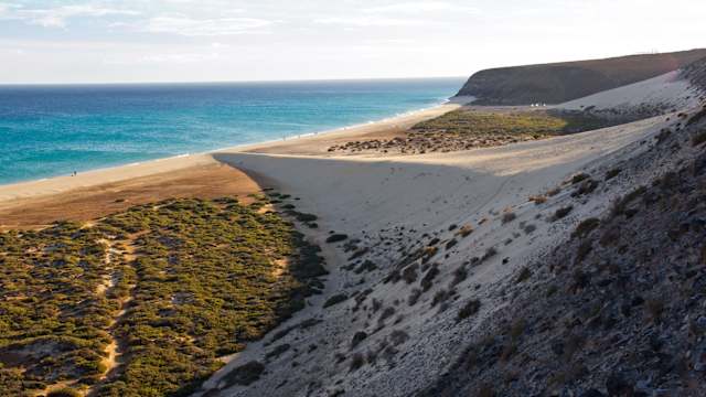 Blick über Dünen auf einen Strand