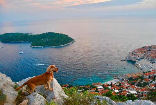 Top Unterkünfte mit Vierbeiner in Kroatien