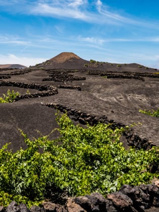 Weinanbaugebiet La Geria, Lanzarote © Joachim Negwe