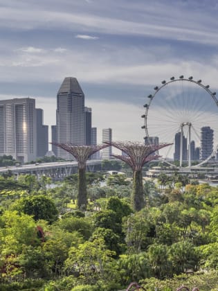 Blick auf den Gardens by the Bay und der Singapur Skyline.