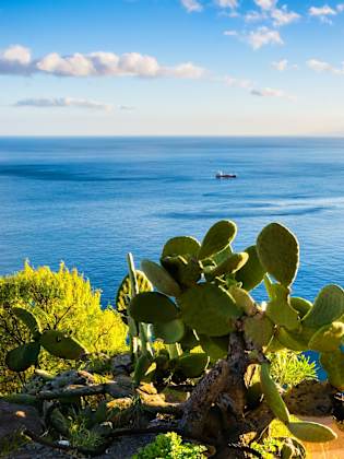 Aussicht auf den Strand las Teresitas in Santa Cruz de Tenerife, Teneriffa, Kanarische Inseln ©iStock.com/Elena-studio
