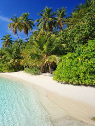 Insel Biyadhoo in Kaafu Atoll, Maldiven ©Matteo Colombo/Moment via Getty Images