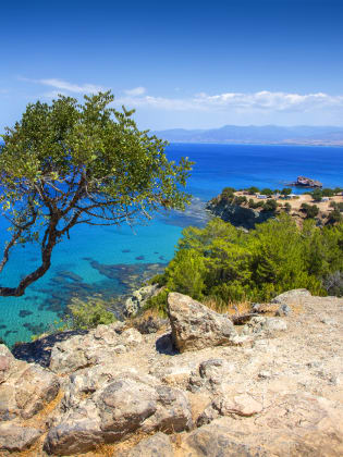 Blick auf einsamen Baum und Meer auf der Halbinsel Akamas, Zypern © iStock.com/alenkadr