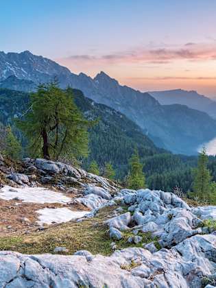 Blick auf ein Gebirge mit Bäumen bei Sonnenuntergang