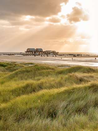 Ausblick von den Dünen auf den Strand, St. Peter-Ording