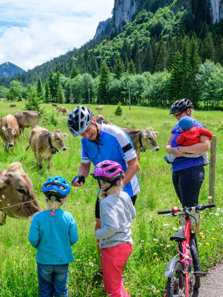 Familie macht Pause während einer Radtour an einer Kuhweide © ARochau - stock.adobe.com