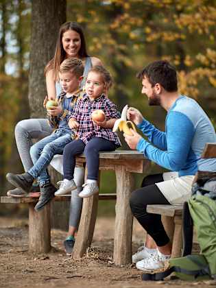 Familienpicknick im Wald © luckybusiness - stock.adobe.com