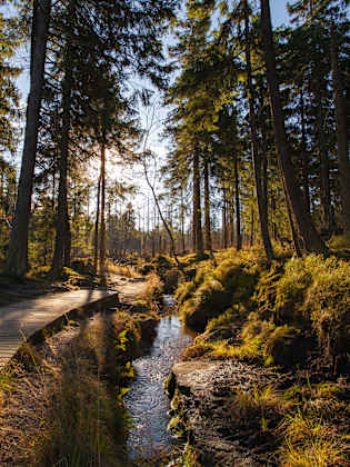 Herbst in deutschen Bergen ©kaywiegand/iStock / Getty Images Plus via Getty Images