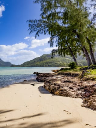 Strand auf Mauritius ©35007/iStock / Getty Images Plus via Getty Images