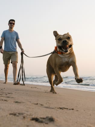 Mann mit seinem Hund am Strand © Westend61/Westend61 via Getty Images
