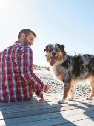 Mann und Hund am Strand ©Gonalo Barriga/Image Source via Getty Images