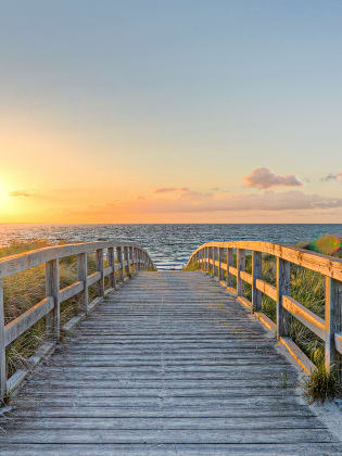 Ein langer Holzweg der Richtung Meer führt. Die Sonne geht unter und die Vögel fliegen über das Meer © Marco2811 - stock.adobe.com