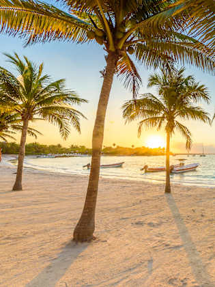 Playa de Akumal, Mexiko © Simon Dannhauer/iStock / Getty Images Plus via Getty Images