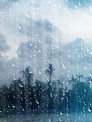 Fensterscheibe voller Regentropfen mit Regenwald im Hintergrund.