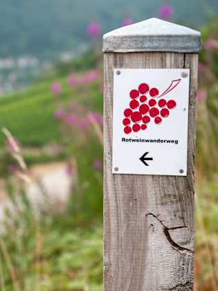 Wegweiser aus Holz für den Rotweinwanderweg im Vordergrund, grüne Wiese und Häuser unscharf im Hintergrund