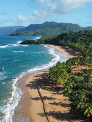 Blick auf einen weiten Strand mit vielen Palmen