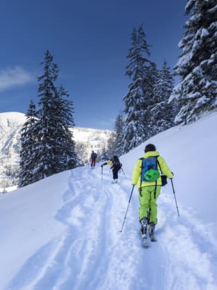 Ski-Langläufer auf dem Weg zum Gipfel ©iStock.com/DieterMeyrl