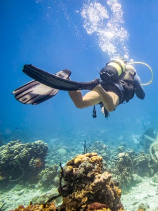 Taucher bei der Erkundung eines überwucherten Schiffswracks in Playa Larga, Kuba © iStock.com/Eloi_Omella