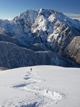 Tiefschneefahren am Watzmann im Nationalpark Berchtesgaden ©iStock.com/DieterMeyrl