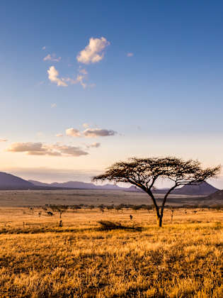 Tsavo East National Park, Kenia ©czekma13/iStock / Getty Images Plus via Getty Images