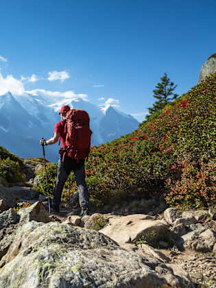 Ein Wanderer geht über einen schmalen steinigen Weg. Rundherum wachsen wilde Blaubeeren. Im Hintergrund erheben sich die Berge.