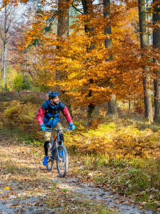 Ein Mann fährt mit dem Mountainbike durch einen Herbstwald.