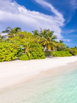 Ein tropischer Strand mit Palmen und türkisfarbenem Wasser auf den Malediven.