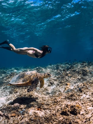 Eine Frau taucht unter Wasser neben einer Schildkröte.