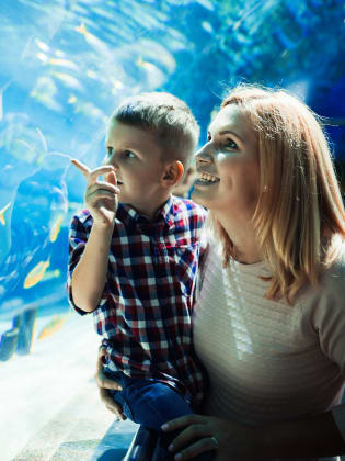 Mutter und Kind im Sea Life © NDABCREATIVITY