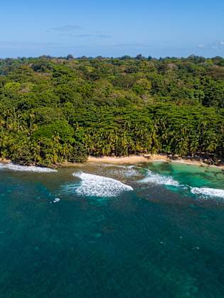 Blick auf ein waldiges Gebiet an einem Gewässer