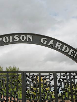 In diesem Garten in England findest Du fast ausschließlich giftige Pflanzen. © Jiri Vondrous/Shutterstock.com