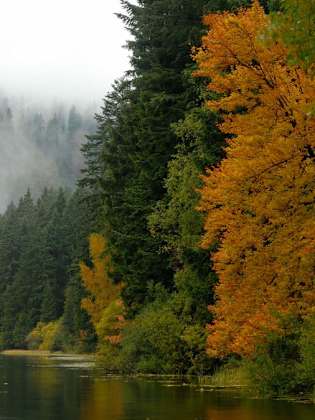 Im Herbst leuchtet der Bayerische Wald in den schönsten Farben. © imago images/Zoonar/Karin Jähne