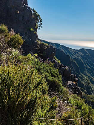 Der Blick vom Wanderweg 