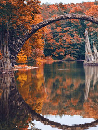 Die Rakotzbrücke in Sachsen ist zu jeder Jahreszeit ein besonderer Anblick. © DaLiu/Shutterstock.com