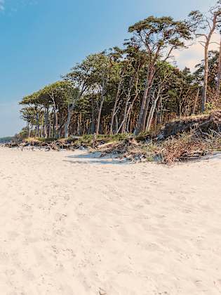 Weststrand Prerow, Fischland-Darß-Zingst © Adobestock/tobibambola