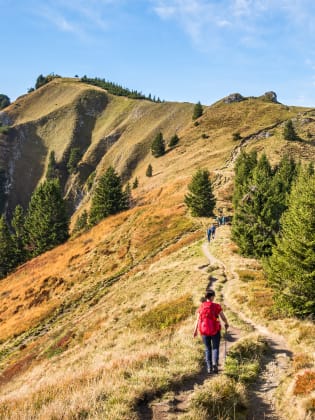 Brauneck im Schwarzwald © Frank Krautschik – stock.adobe.com