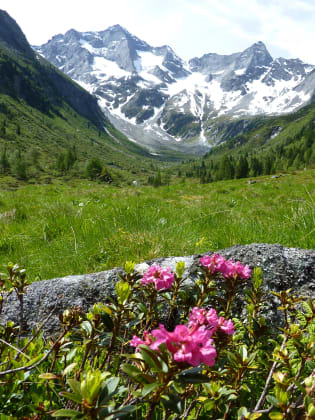 Bergblick Suedtirol, Italien.