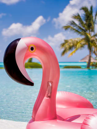 Aufblasbarer Flamingo am Pool
