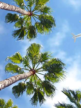 Flugzeug von unten am Himmel