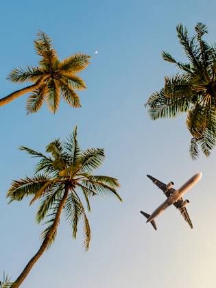 Flugzeug im Himmel über Palmen