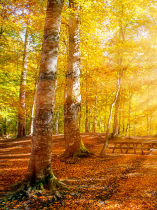 Urlaub im Herbst