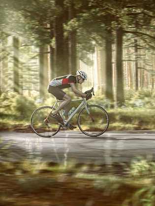 Rennradfahrer im Wald