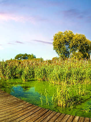 Schwielowsee in Brandenburg.