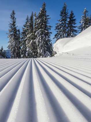 Skipiste im Winter