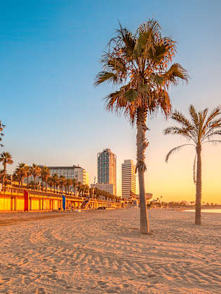 Barceloneta Beach, Costa Barcelona, Spanien © Shutterstock - Boule